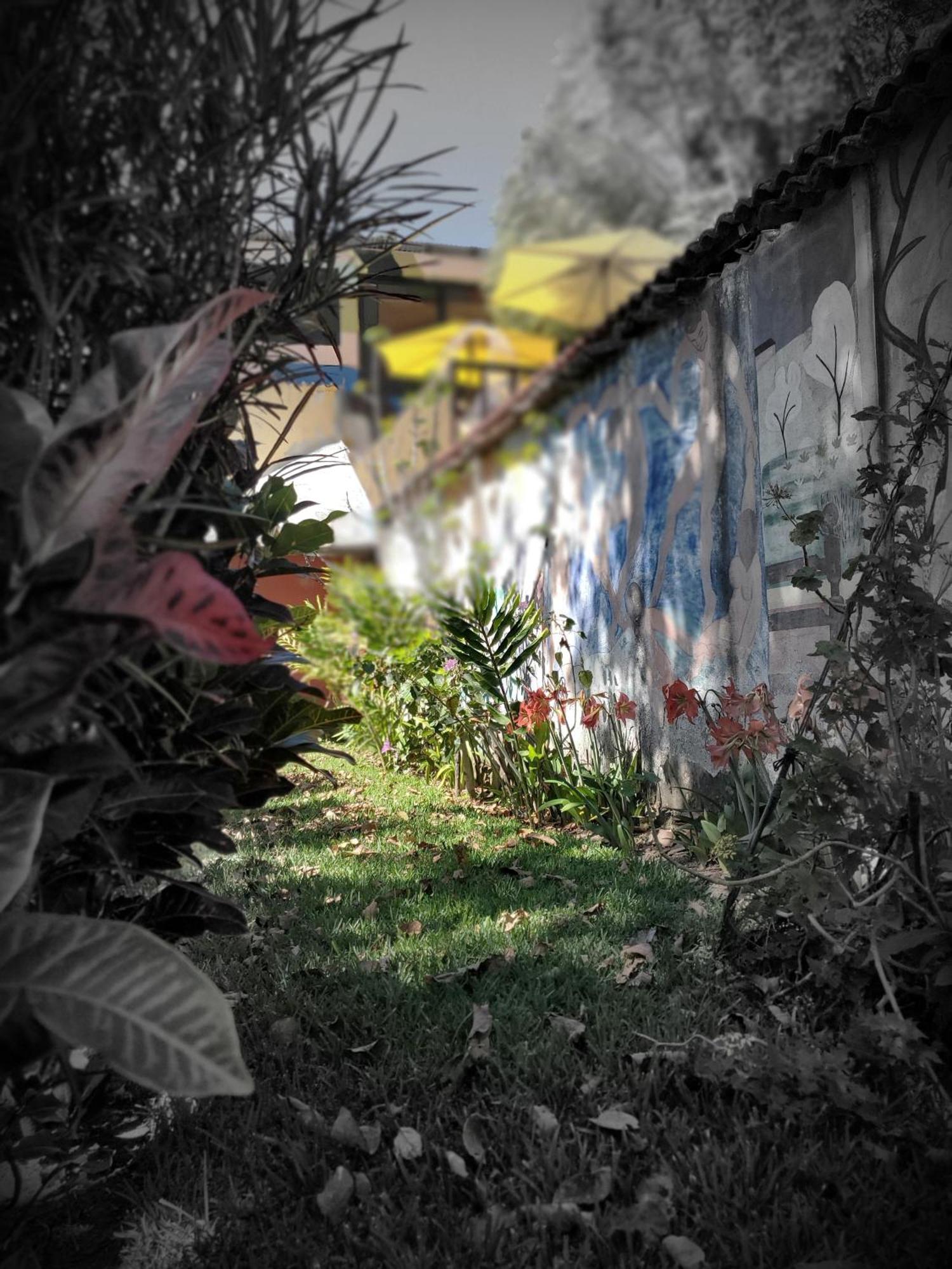 Hotel Art & Coffee Santa Cruz La Laguna Zewnętrze zdjęcie