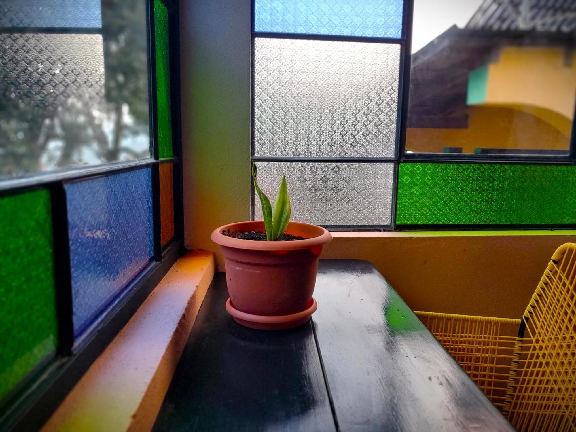 Hotel Art & Coffee Santa Cruz La Laguna Zewnętrze zdjęcie