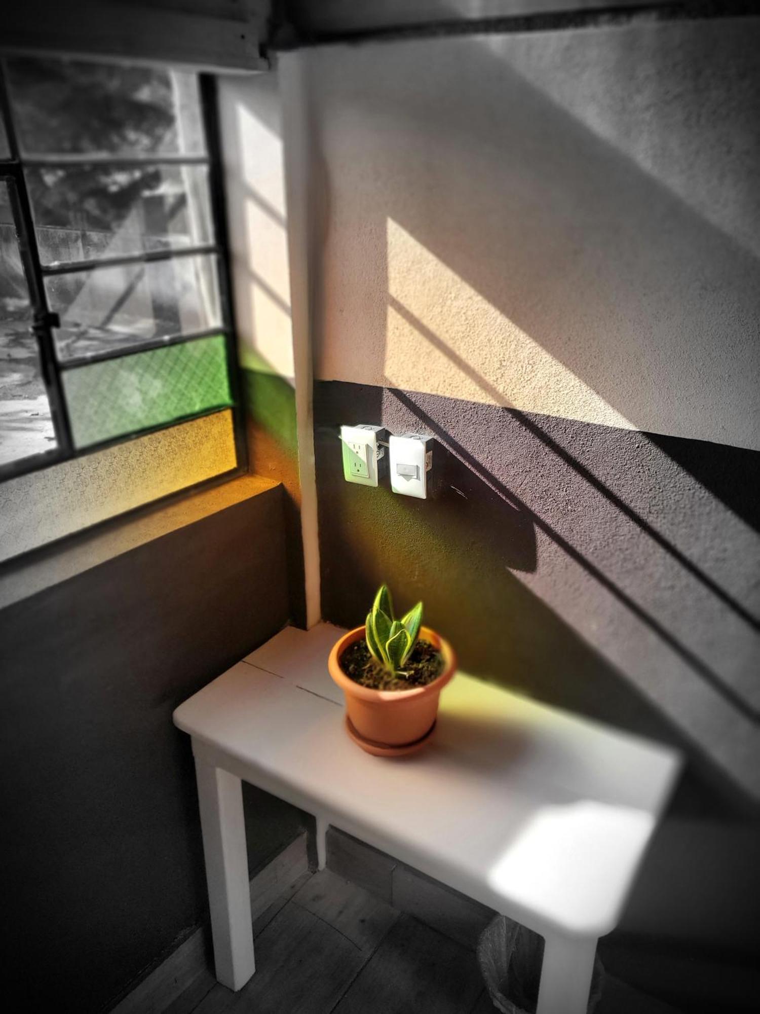 Hotel Art & Coffee Santa Cruz La Laguna Pokój zdjęcie